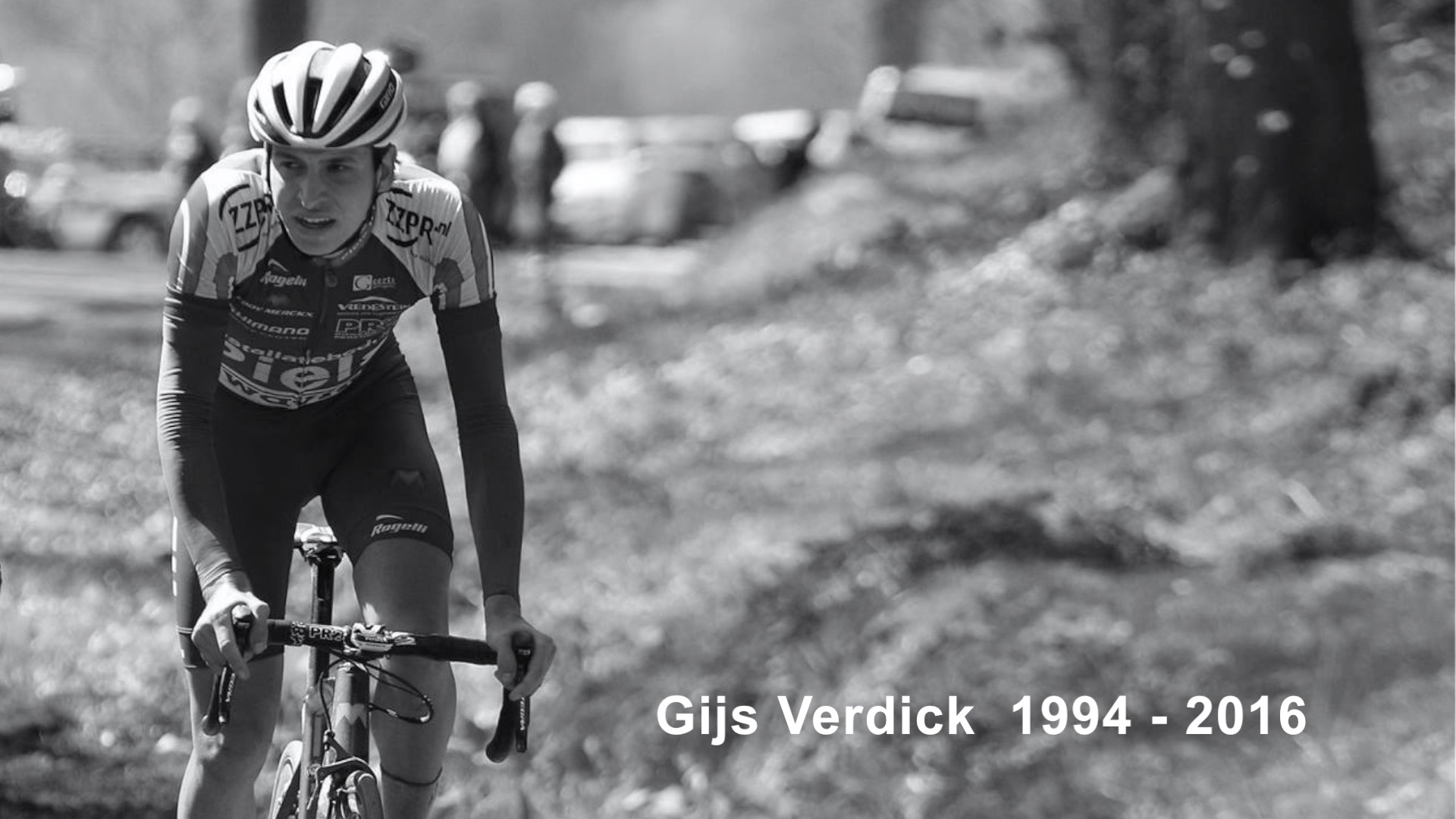 Gijs_Verdick_1994-2016.jpg